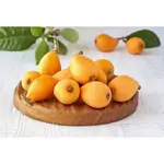 Loquat 1/2 Kilo